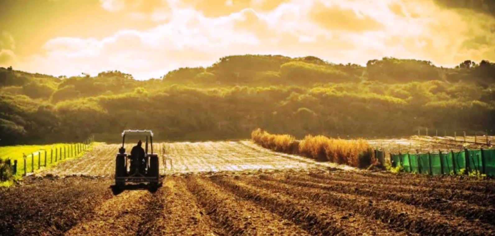 Τι αλλάζει το 2026 με τις δηλώσεις ΟΣΔΕ σε φυτικό-ζωικό, τους ελέγχους κλπ